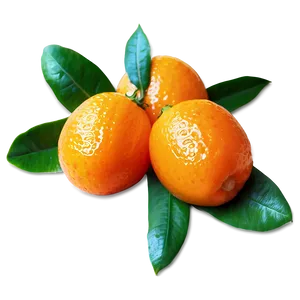 Gourmet Kumquat PNG 06252024 PNG