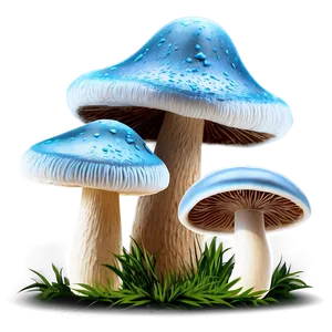 Gourmet Mushrooms Png 05242024 PNG image