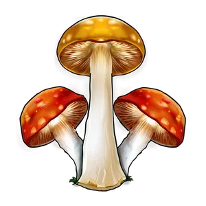 Gourmet Mushrooms PNG Hcb89