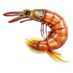 Gourmet Shrimp PNG Nvi PNG