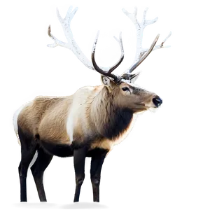 Graceful Caribou In Snow Png 33 PNG image