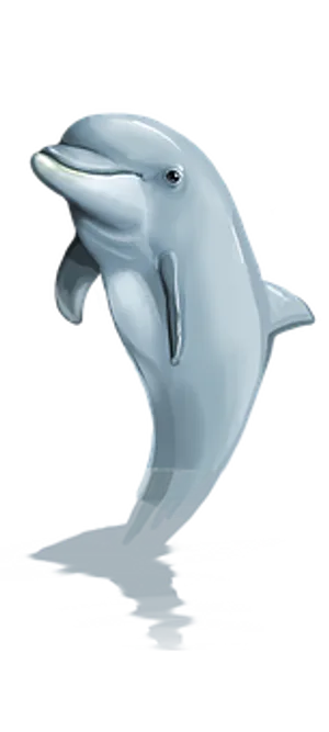 Graceful Dolphin Illustration PNG image