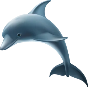 Graceful Dolphin Illustration PNG image