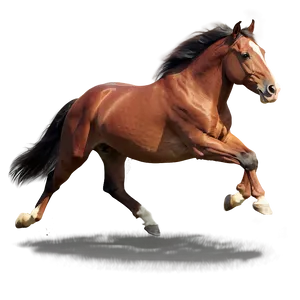 Graceful Horse Gallop PNG 16 PNG