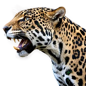 Graceful Jaguar PNG Ujm32