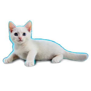 Graceful Kitty PNG 25 PNG