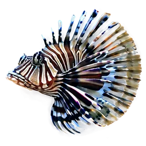 Graceful Lionfish Png 18 PNG image