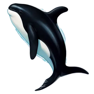 Graceful Orca PNG Xsn2