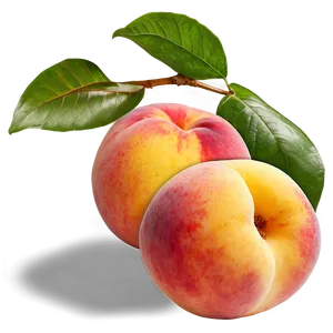 Graceful Peach Element Png 20 PNG image