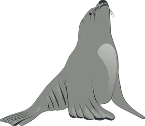 Graceful Seal Illustration PNG image