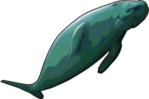 Graceful Whale Clipart PNG image