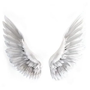 Graceful White Wings PNG 95