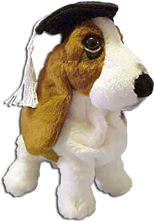 Graduate Basset Hound Plush Toy PNG