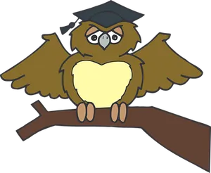 Graduate Owl Cartoon PNG image