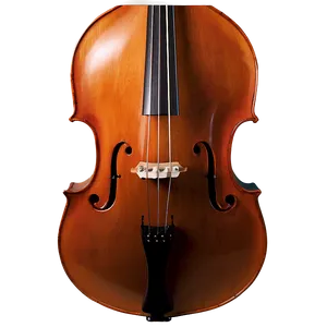 Grand Double Bass PNG 57