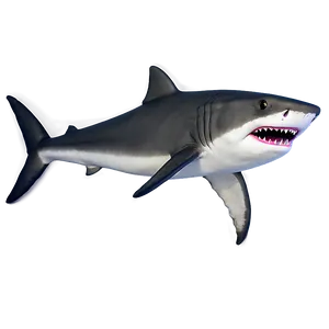 Grandpa Shark At Park Png 06282024 PNG image