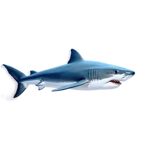 Grandpa Shark D PNG image