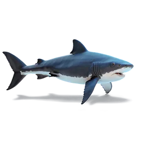 Grandpa Shark Underwater Png 06282024 PNG image