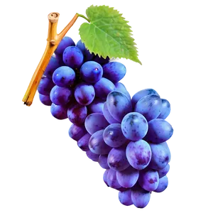 Grape Alone PNG Alu36 PNG