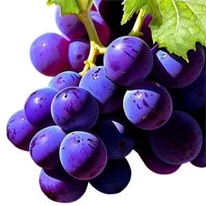 Grape Art Png Hfm PNG image