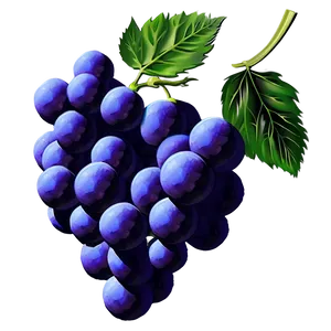 Grape Art PNG Txy PNG