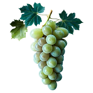 Grape Background PNG 84