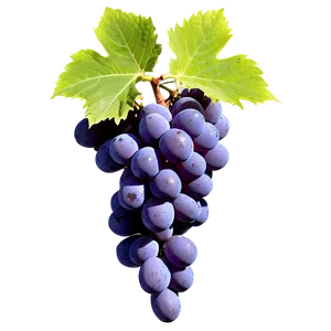 Grape Background Png Jcj85 PNG image