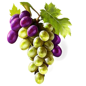 Grape Background PNG Uip