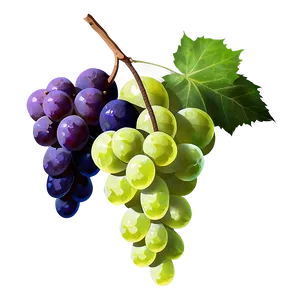 Grape Bunch Silhouette PNG Cbv