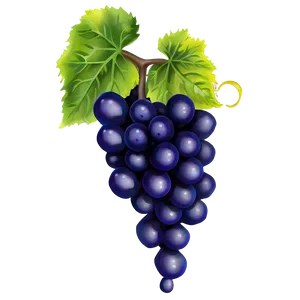 Grape Cartoon Character PNG 17 PNG