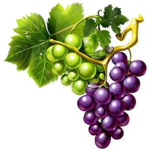 Grape Cartoon Character PNG Xun