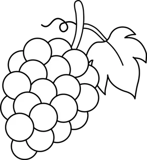 Grape Cluster Line Art