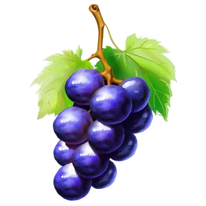 Grape Drawing PNG 05212024