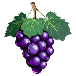 Grape Drawing PNG 05212024