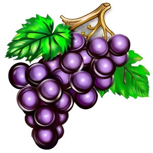 Grape Drawing PNG Yna