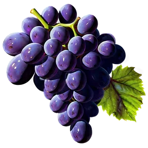 Grape Flat Design PNG 05212024 PNG