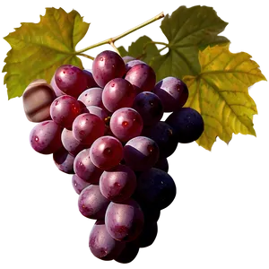 Grape Icon PNG 05212024