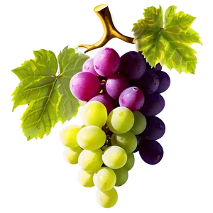 Grape Icon PNG Ikg41