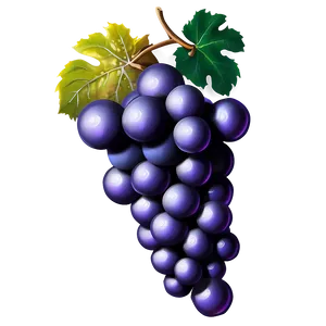 Grape Icon PNG Sen31