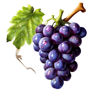 Grape Illustration PNG 3
