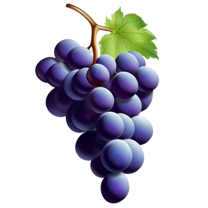 Grape Illustration PNG 45