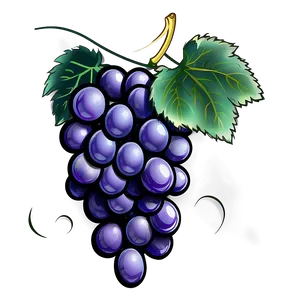 Grape Illustration PNG 74