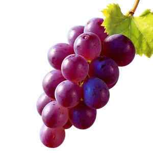 Grape In Sunlight PNG 05212024 PNG