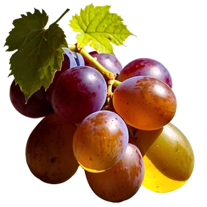 Grape In Sunlight PNG Hqv
