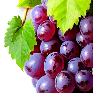 Grape Logo PNG 12