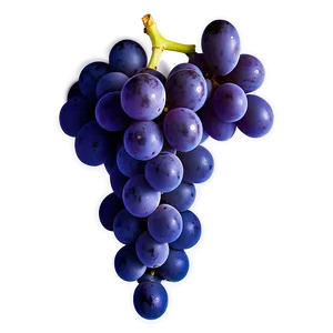 Grape Logo PNG Xyl