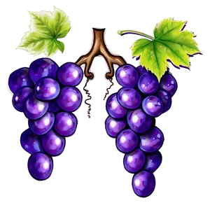 Grape Mascot PNG 05212024 PNG
