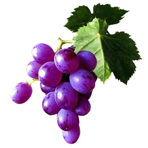 Grape Outline PNG 4 PNG