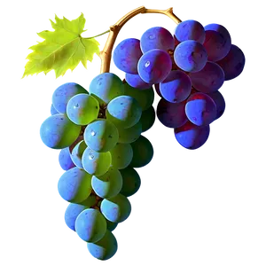 Grape Outline PNG Rhy17