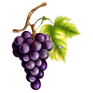 Grape Pattern PNG 65